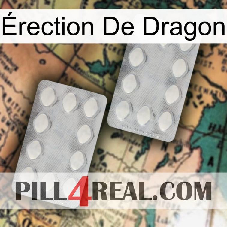 Érection De Dragon 17